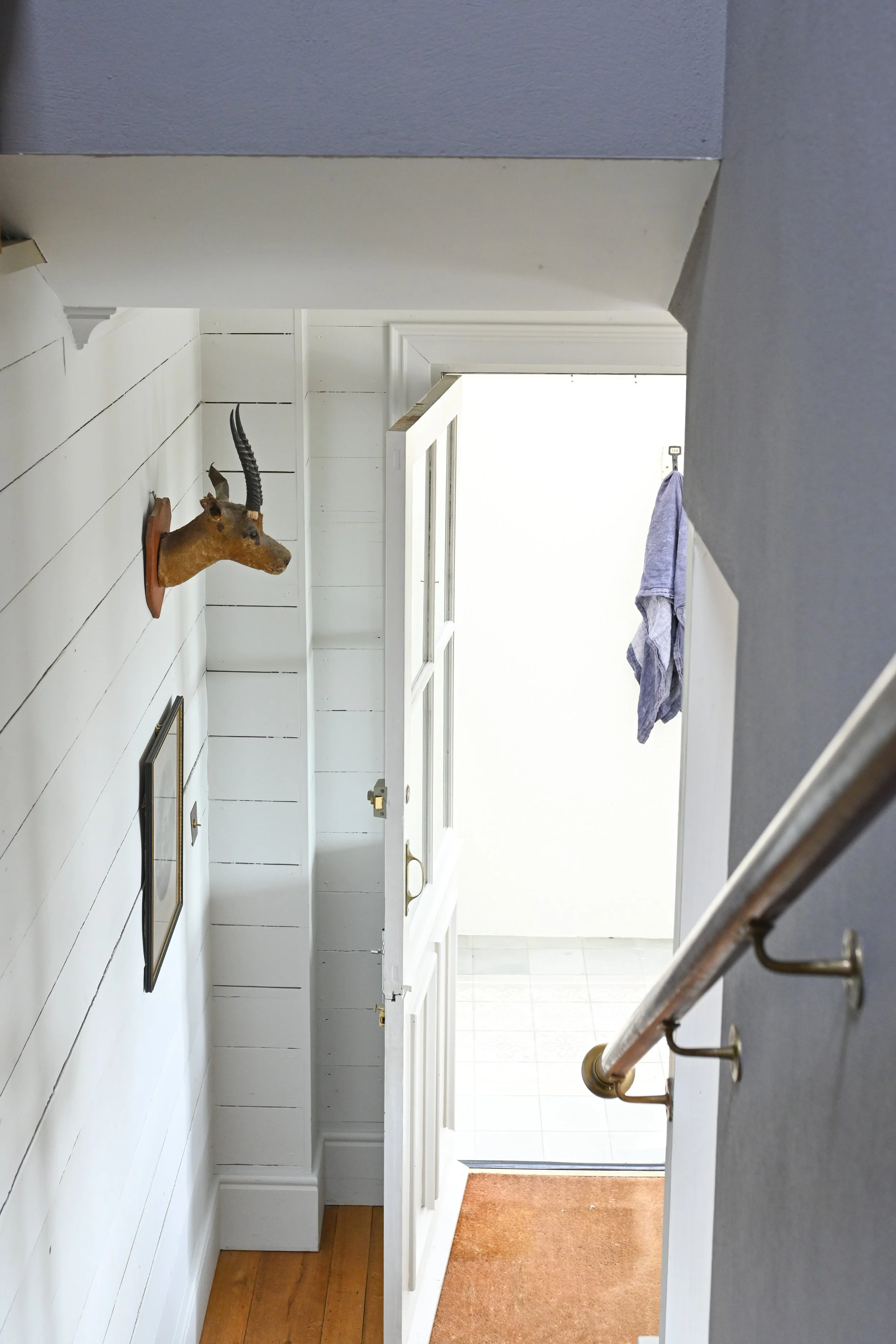 View of a home's entryway with a white front door open to an outside porch, a mounted deer head with antlers on a white shiplap wall, a framed picture, and a towel hanging on an outdoor hook.