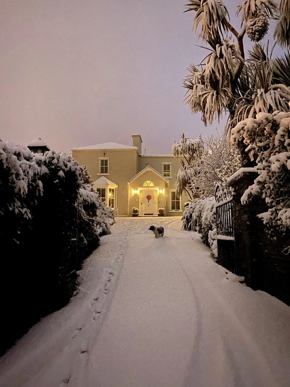 About Us — CONNEMARA RENTALS