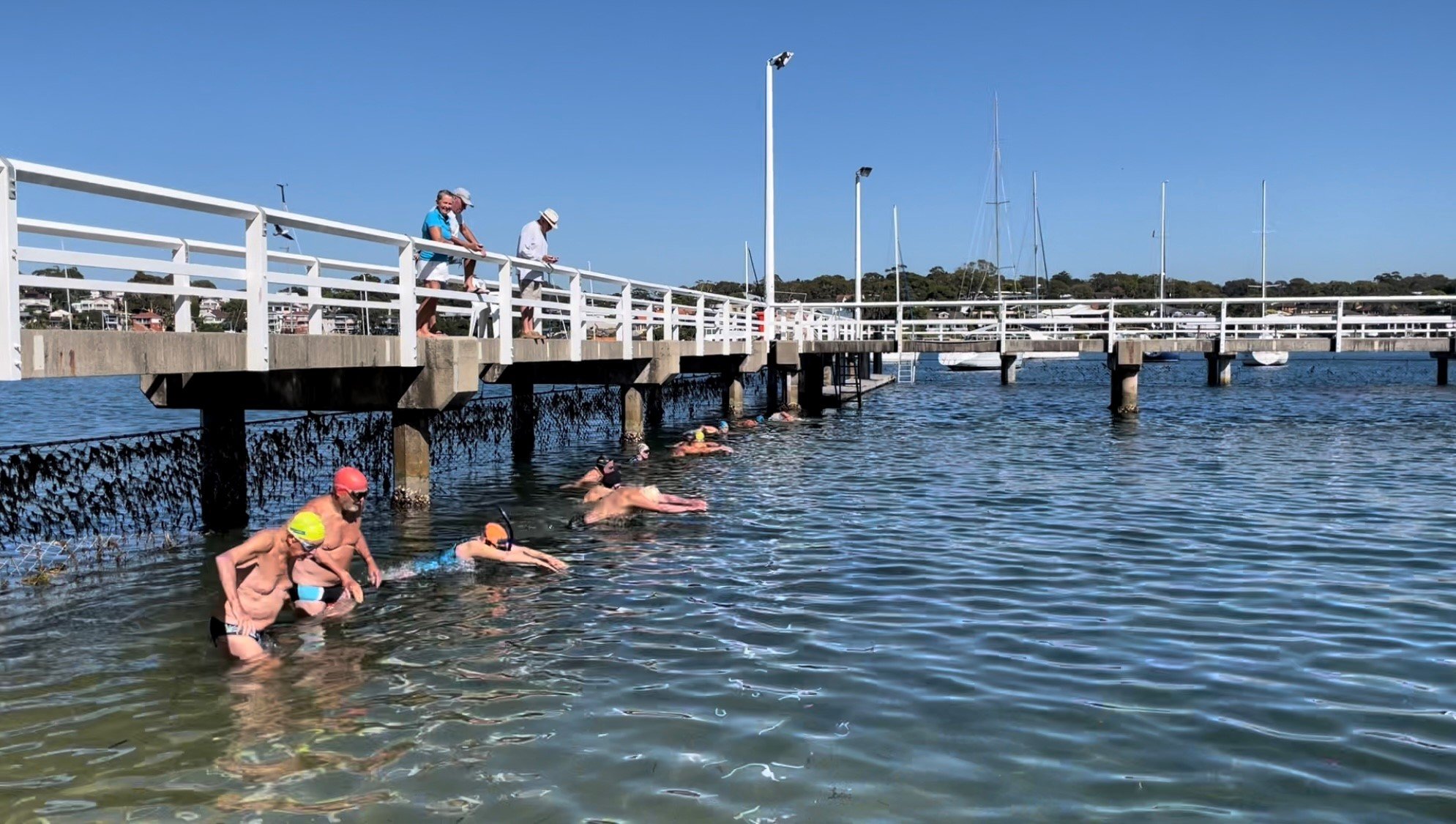 Cronulla RSL Swimming Club