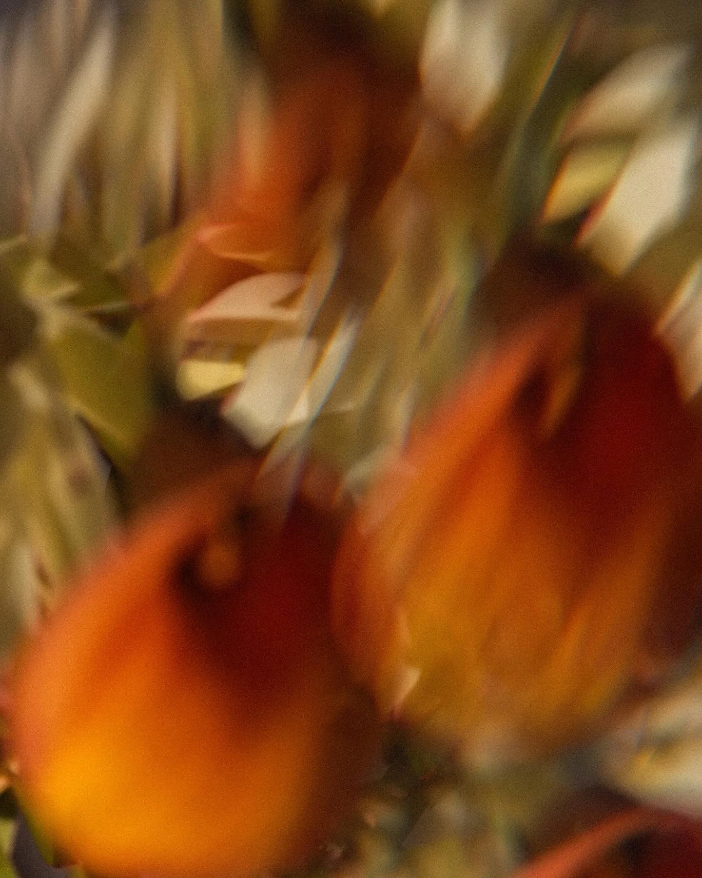 Fresh 🌼 arrangements at our @smithmadden.agency @papermachemag studio courtesy of @buds.onb 

📷 @timothybirch.smithmadden