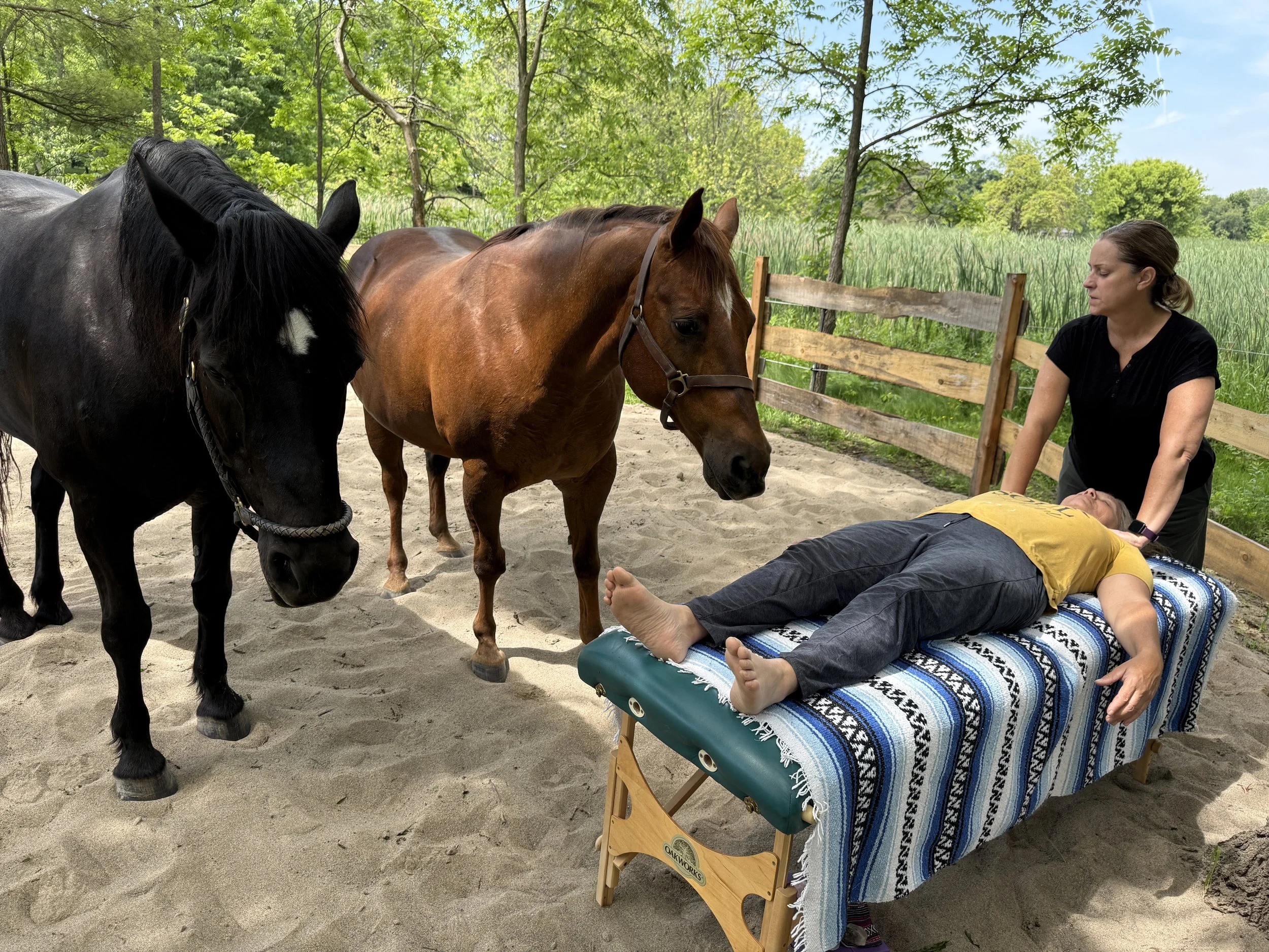 A women receives reiki while two horses stand near her outside.