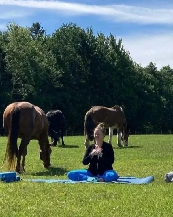 Woman practicing yoga with horses outdoors