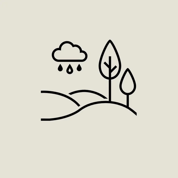 Climate Scenario Analysis