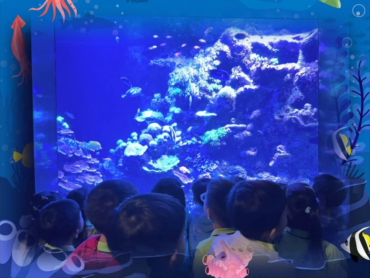 Oceanarium  Singapore Excursion