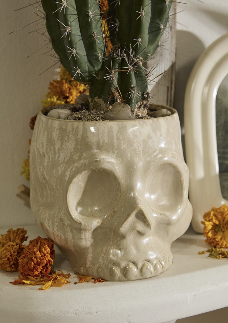 haunting skull pot