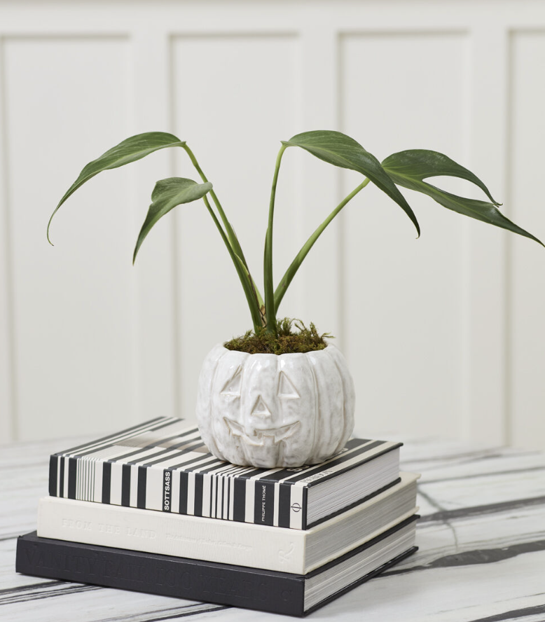 glazed pumpkin pot