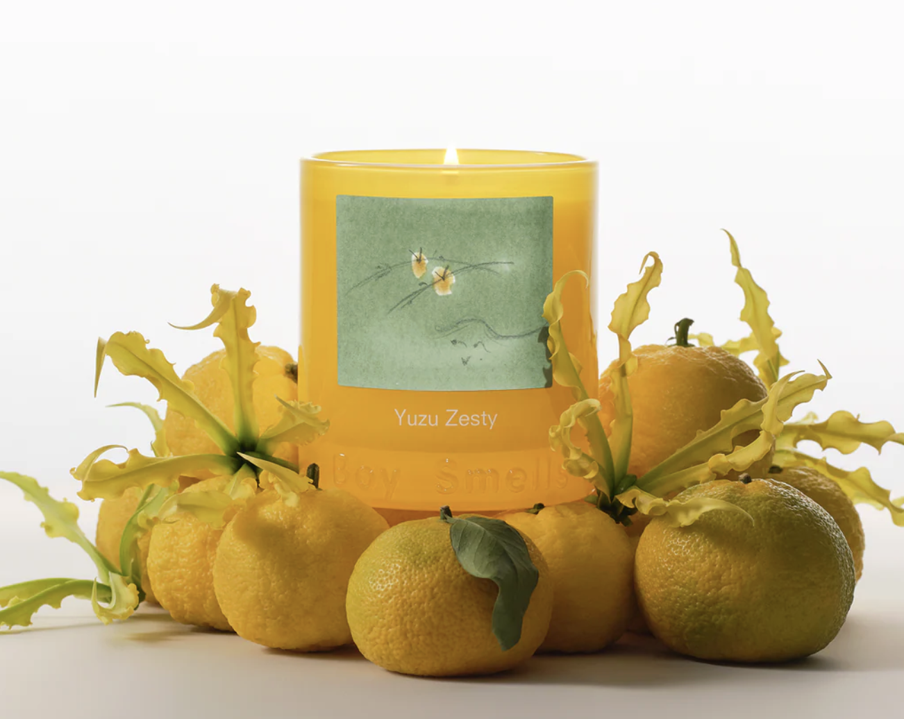 Screenshot 2026-04-24 at 3.11.16 PM.png