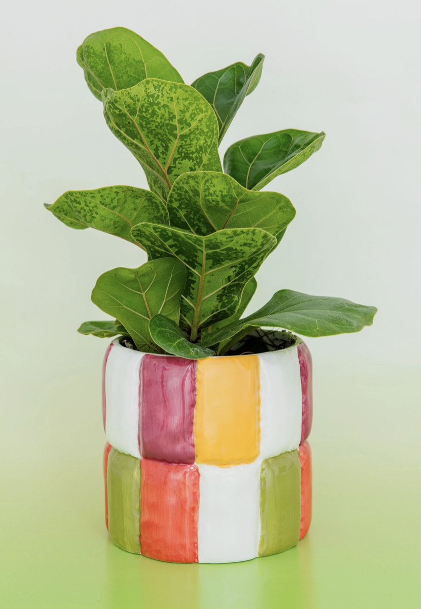 Screenshot 2026-02-01 at 2.58.10 PM.png