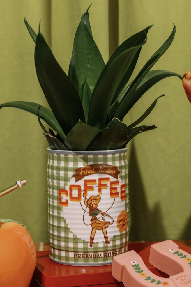 Screenshot 2026-02-01 at 2.55.34 PM.png