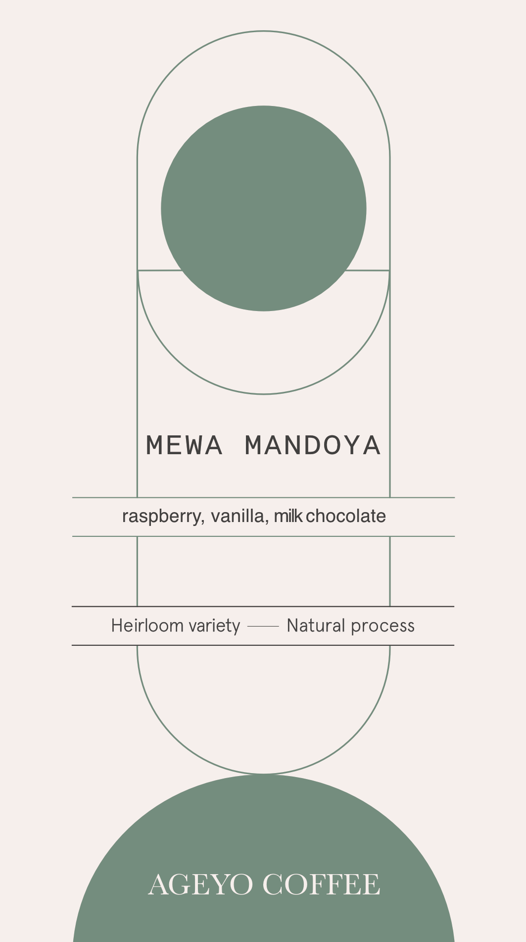 MEWA.png