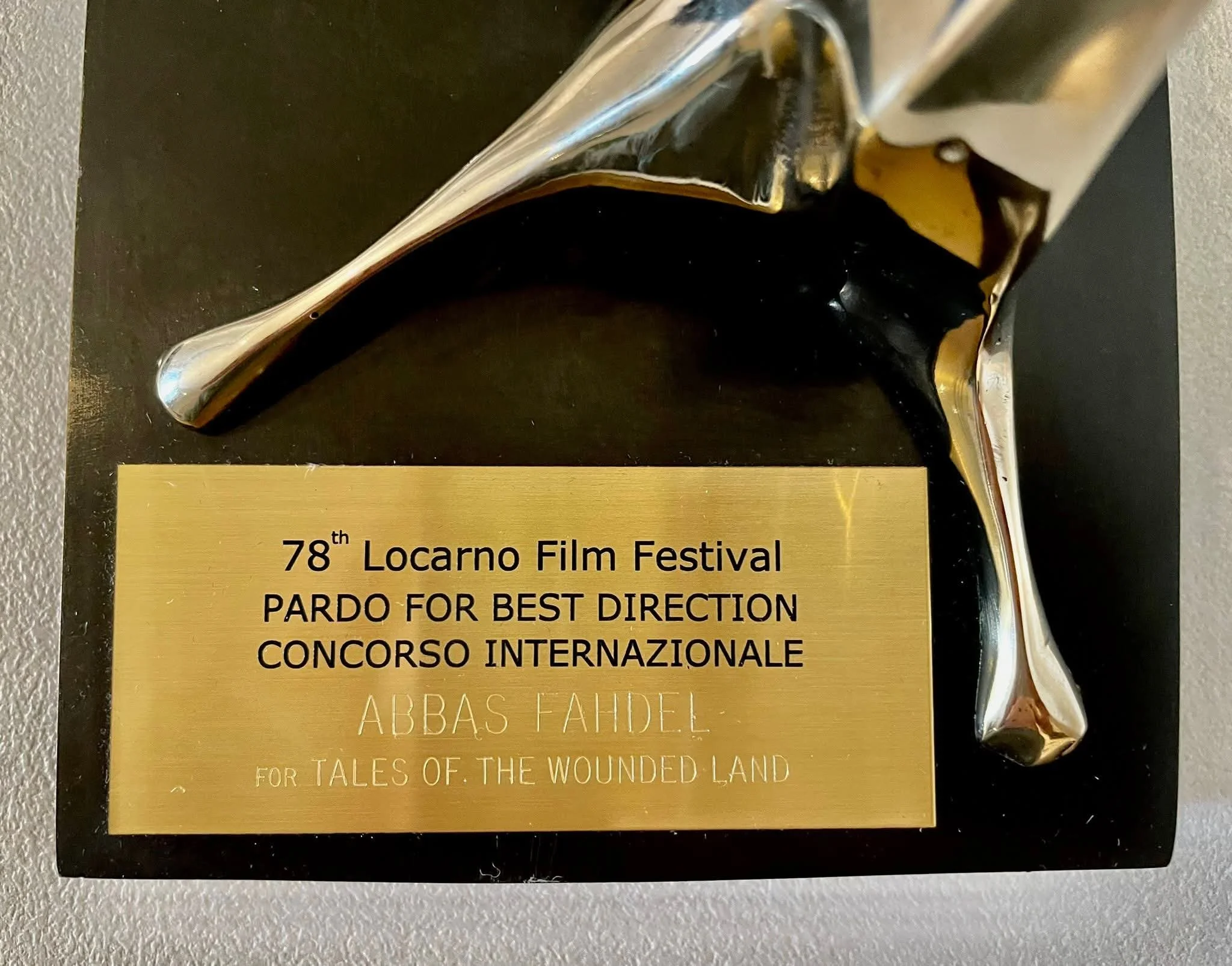 Abbas Fahdel - Festival du film de Locarno (4).jpg