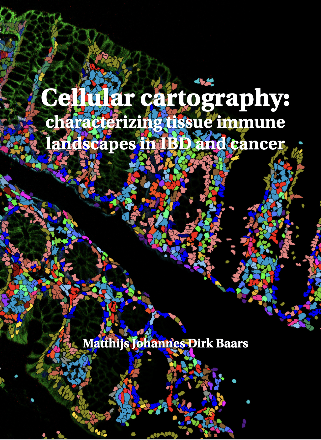 Matthijs PhD graduation