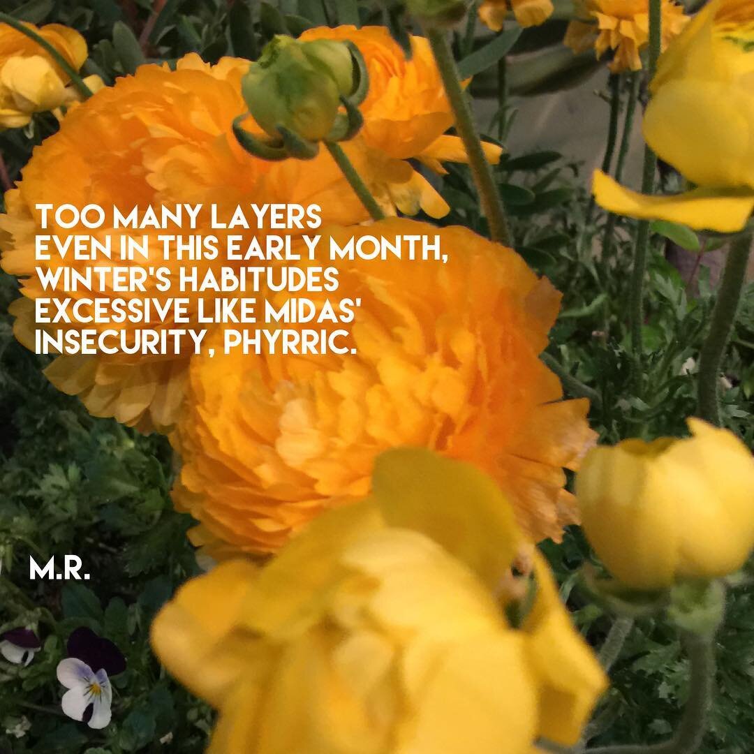 Tanka form.

#artandsoul #courageouscreative #createshareinspire #creativewriting #creativelifehappylife #creativityeveryday #fortheloveofwords #igwriters #poem #poetry #poetrycommunity #poetsofinstagram #wordartist #wordsmith #writersofinstagram #po