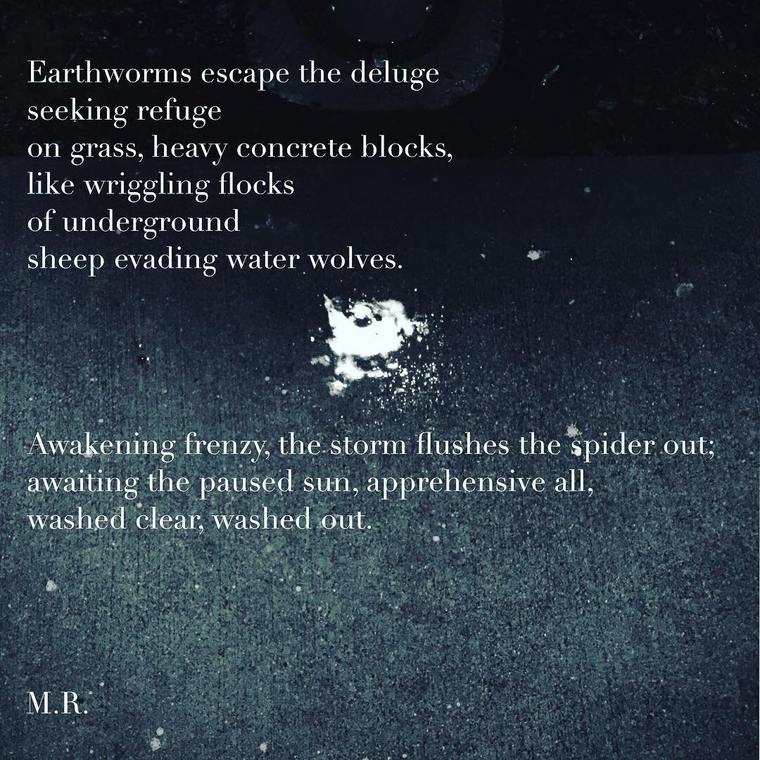 Experimental form. Got the prompt of &quot;tarantism&quot; from the February writing challenge hosted by @whirlwindspirit (@lionesswords) and @rootsamongsttheclouds - this post is a few days behind the prompt. Find out more at #mountainandseapoetry!
