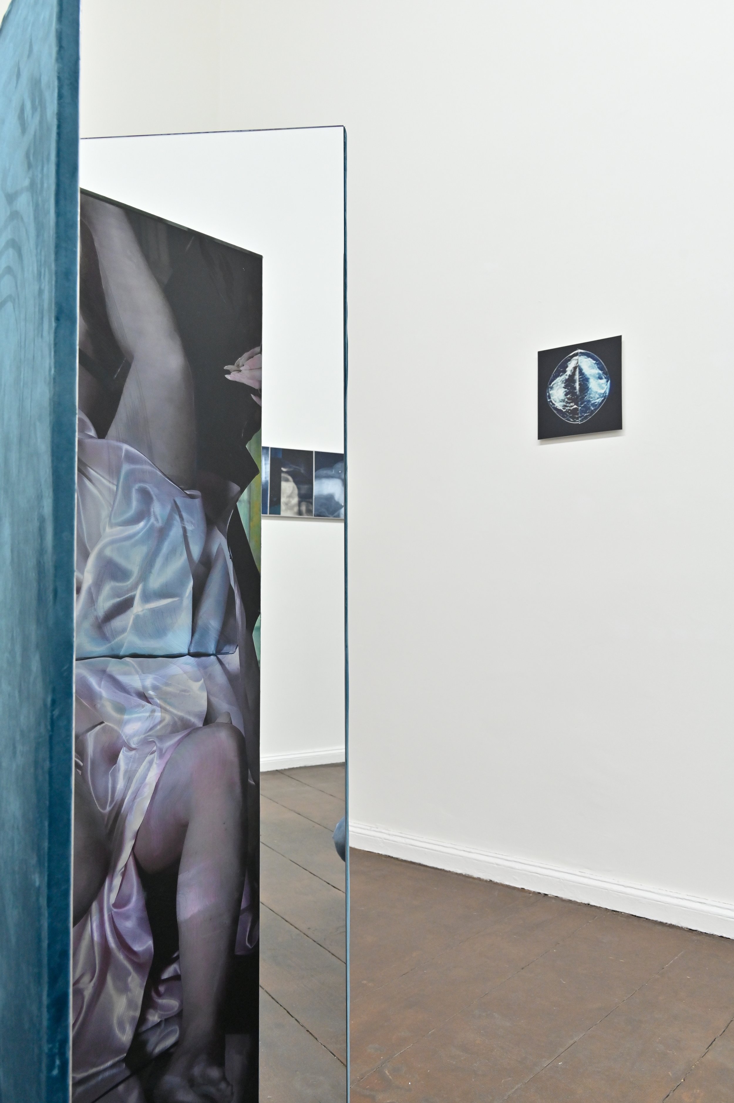 Flesh & the Mirror.JPG