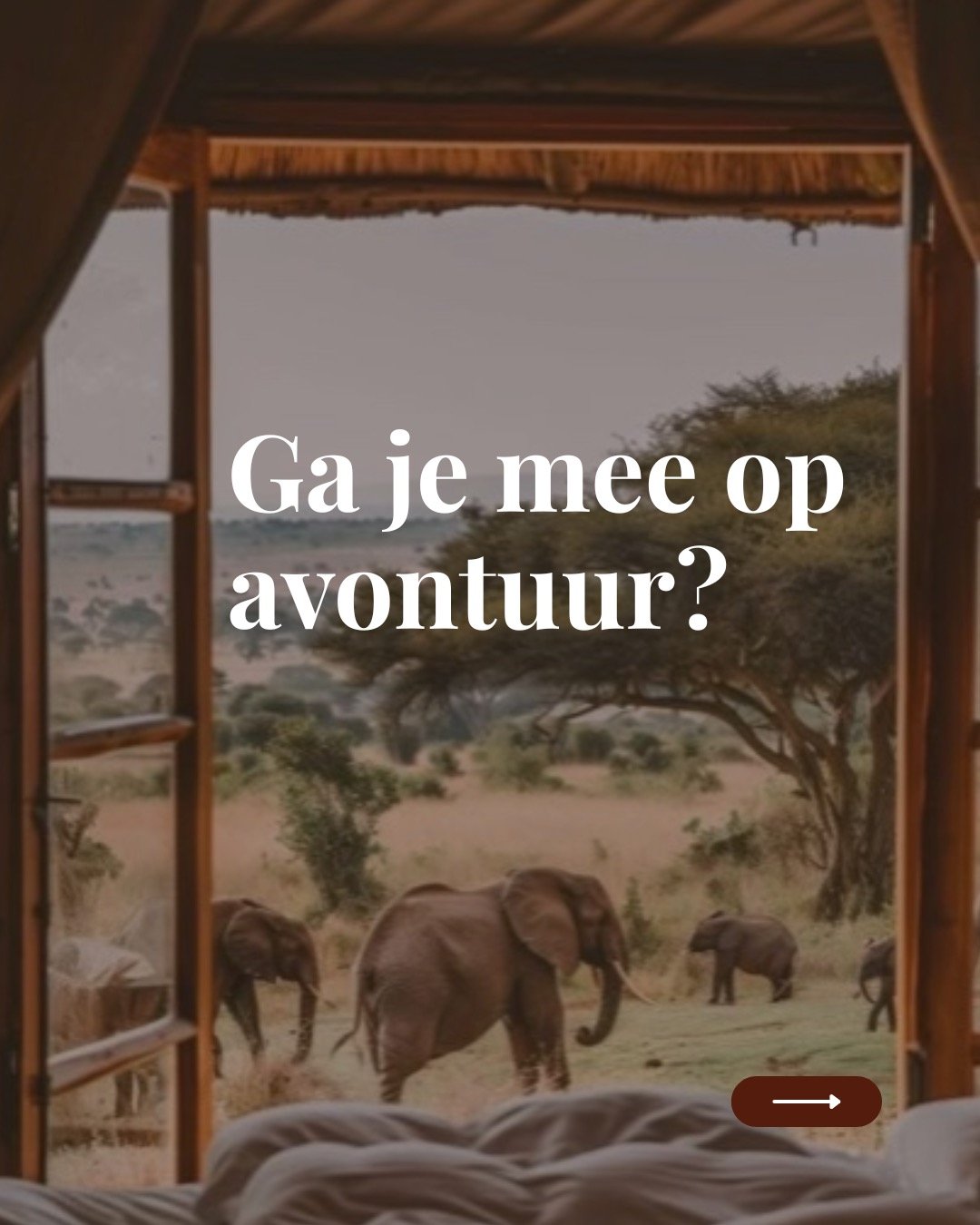 Als iemand vroeger tegen mij zei: &lsquo;Ga je mee op avontuur?&rsquo;
 &hellip; dan had ik mijn koffers al gepakt. Nog voordat ik wist waar naartoe.

Zo kreeg ik ooit van een geliefde een opdracht met instructies om een pasfoto te laten maken voor e