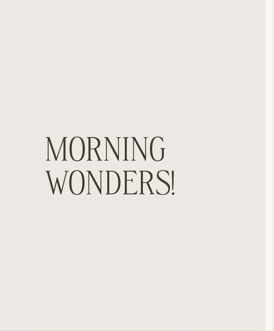 Foto 13-03-2025 om 18.37.jpeg