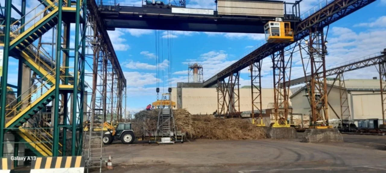 Campagne sucrière 2025 : Un démarrage difficile après un contexte climatique particulièrement défavorable