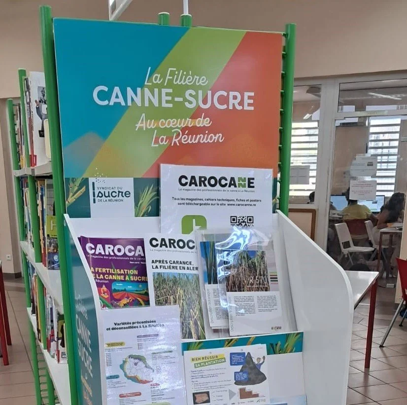 Un pack pédagogique pour rapprocher les jeunes de la filière canne-sucre