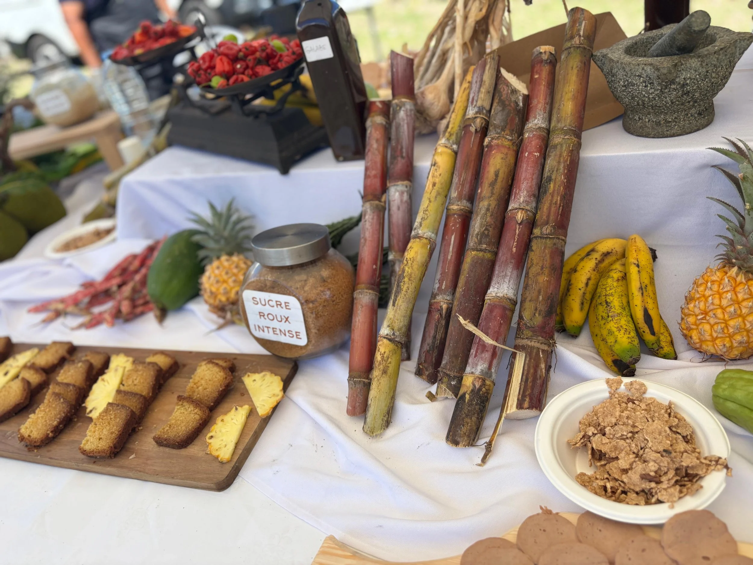20251130_Fête de la Canne 2025 (8).jpeg