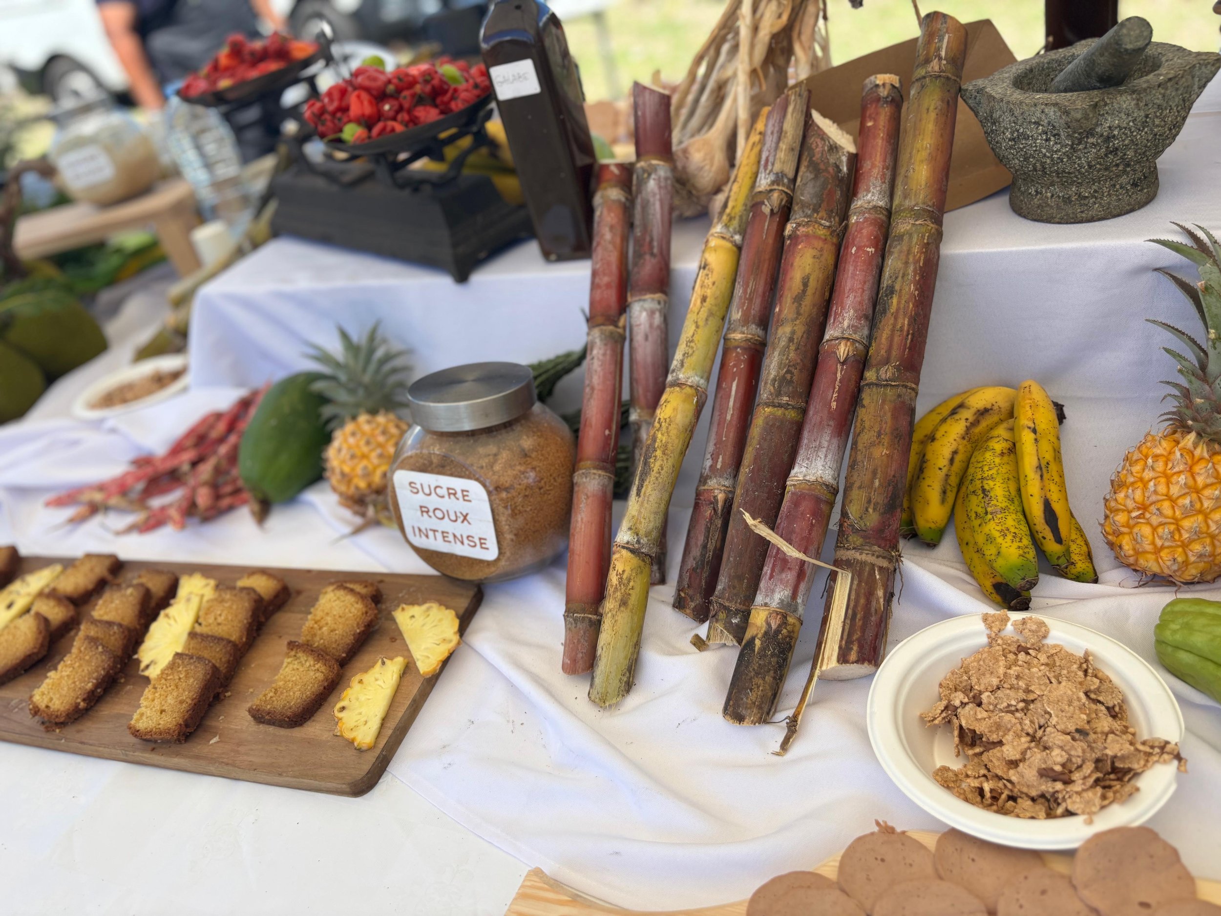 Un moment de convivialité au cœur de la Fête de la Canne