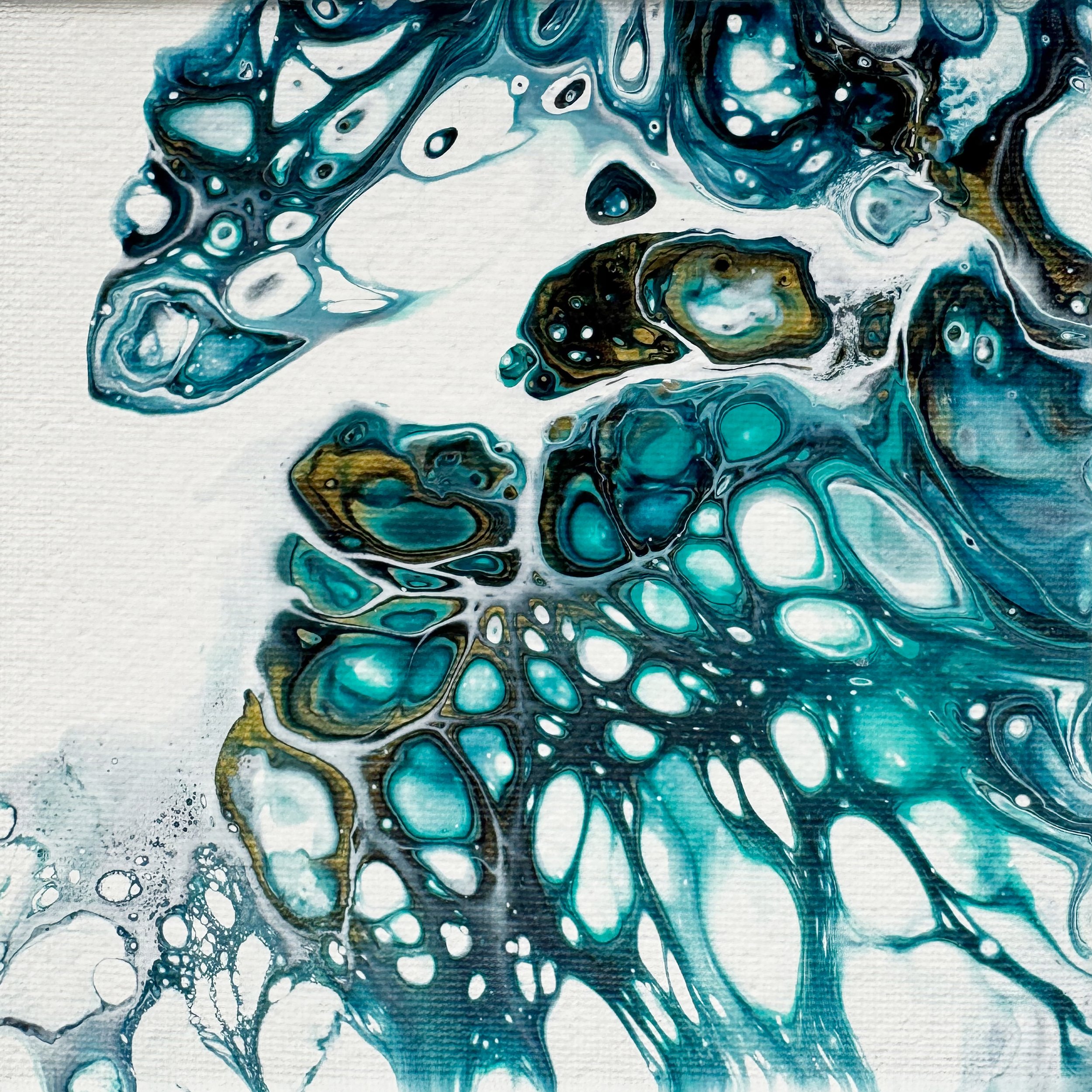 Flow02.2.jpg