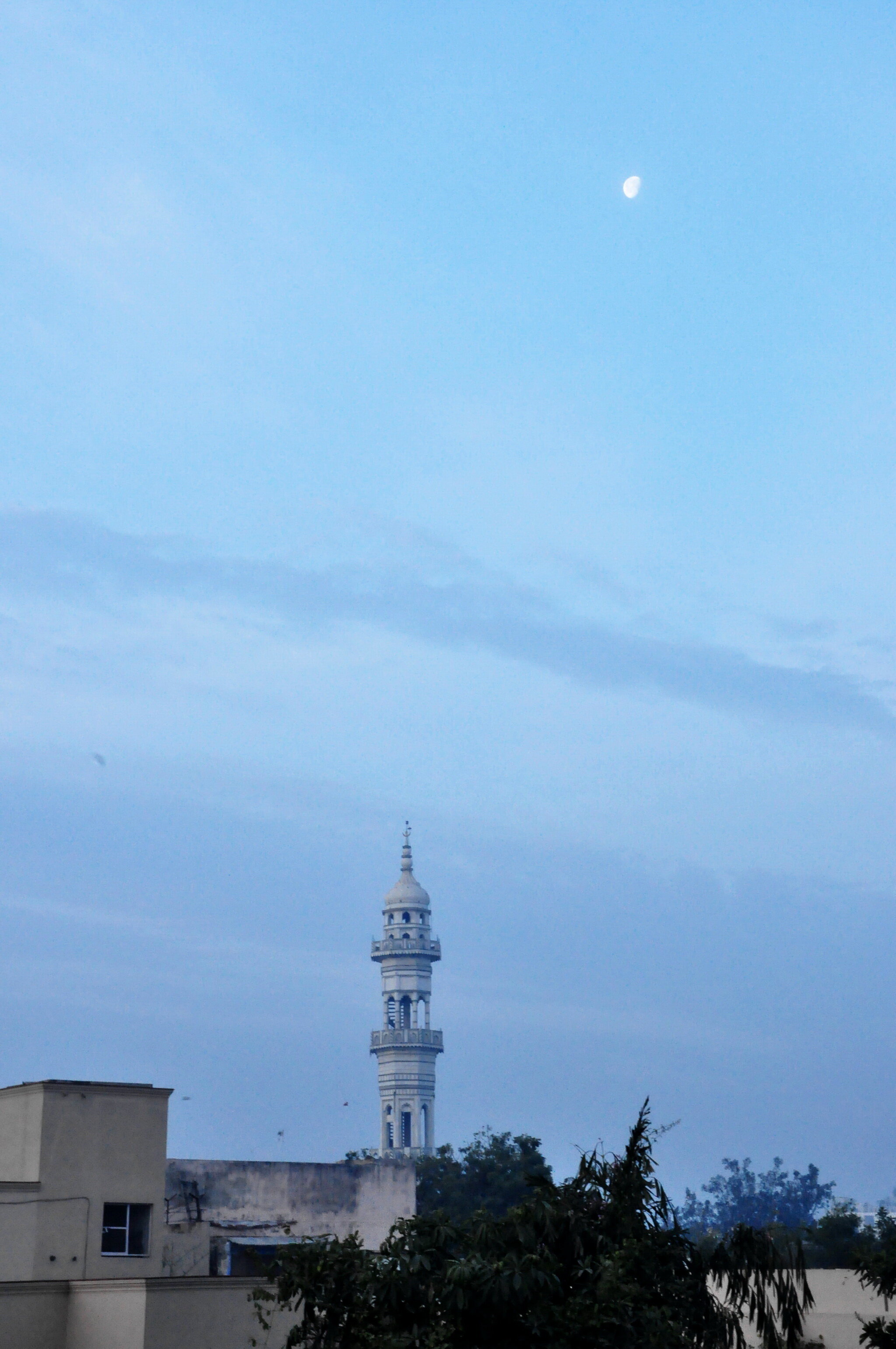 DSC_0796-1.jpg