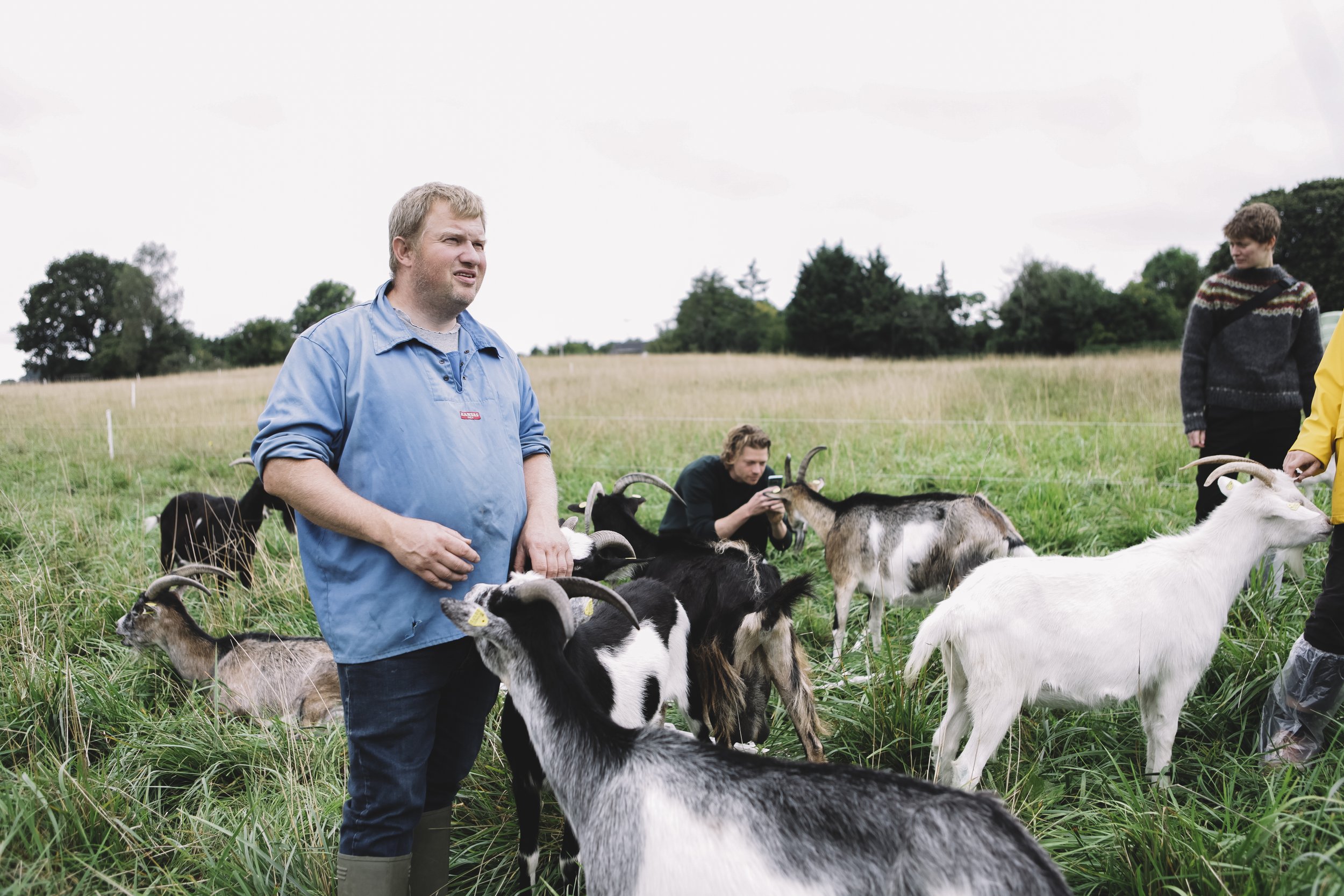 Madland_Festival_farm crawl_copenhagen_goatmilk_claus_gedeost_fotograf Molly Grønberg_2021.jpg