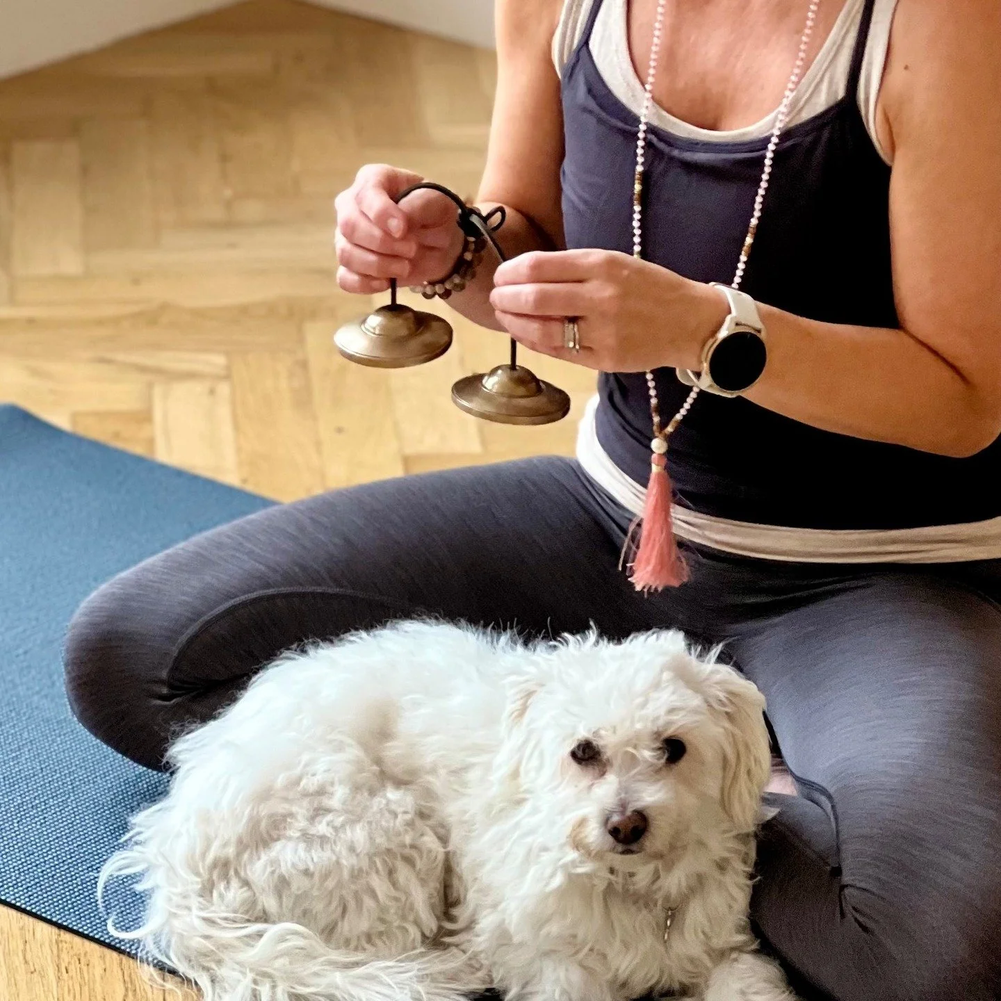 🌿 YinCare Studio siger tak &ndash; og p&aring; gensyn 🌿
Til p&aring;ske lukker YinCare p&aring; Frederiksberg ❤️
Tak for alle de smukke stunder, vi har delt.
Kom forbi til en sidste stund i studiet:
🗓 Fredag d. 27. marts
🕑 Kl. 14&ndash;16
🥂 Et g