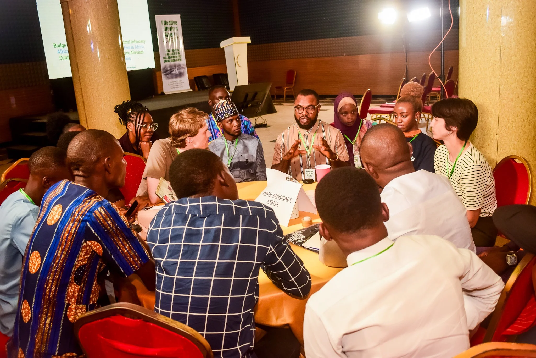 Which career paths are most effective for helping farmed animals in Africa?