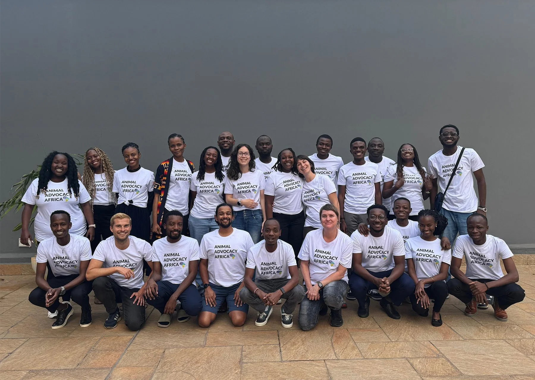 Animal Advocacy Africa’s 2025 Review and Strategic Priorities for 2025/26