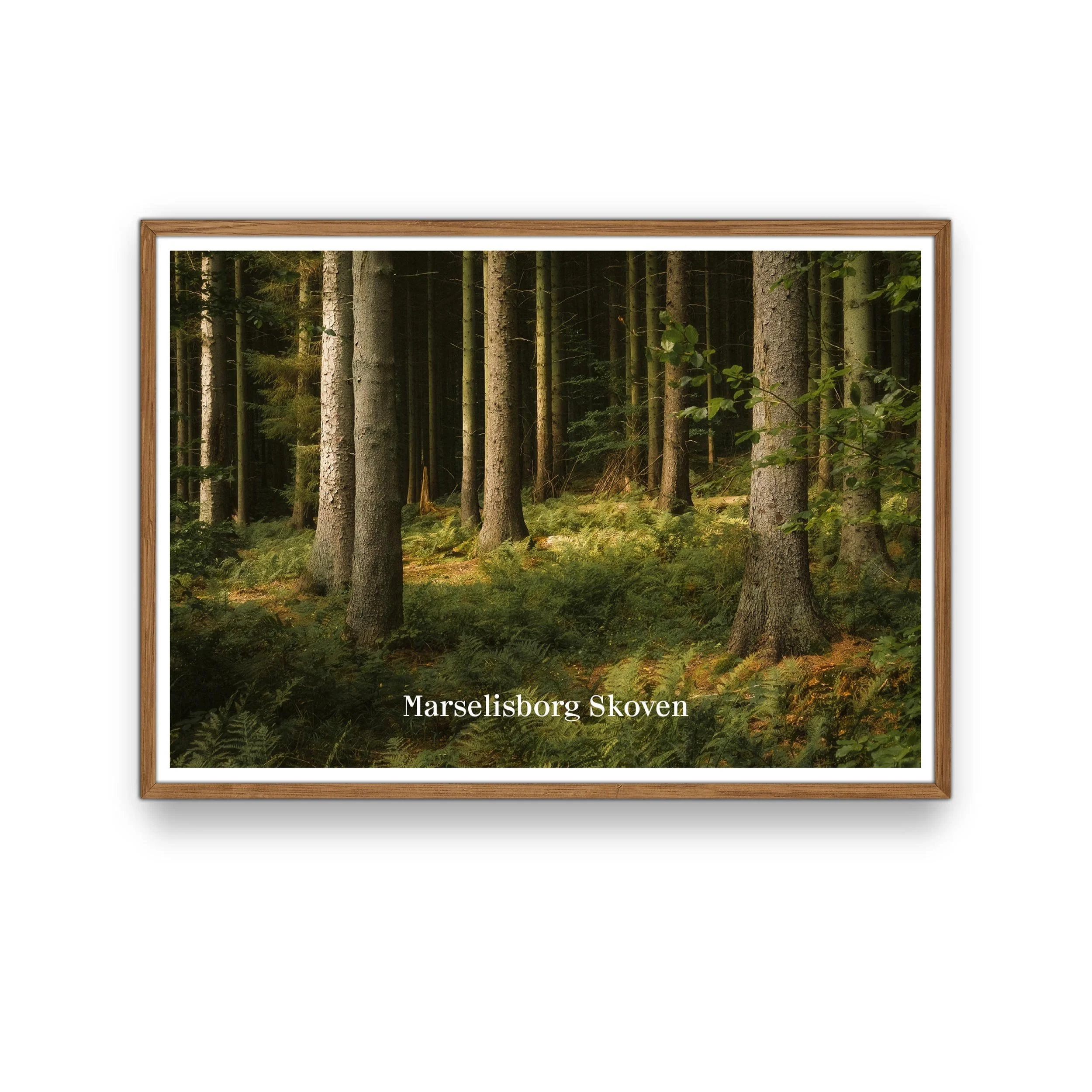 KV-0074-Marselisborg-Sol-THUMB.jpg
