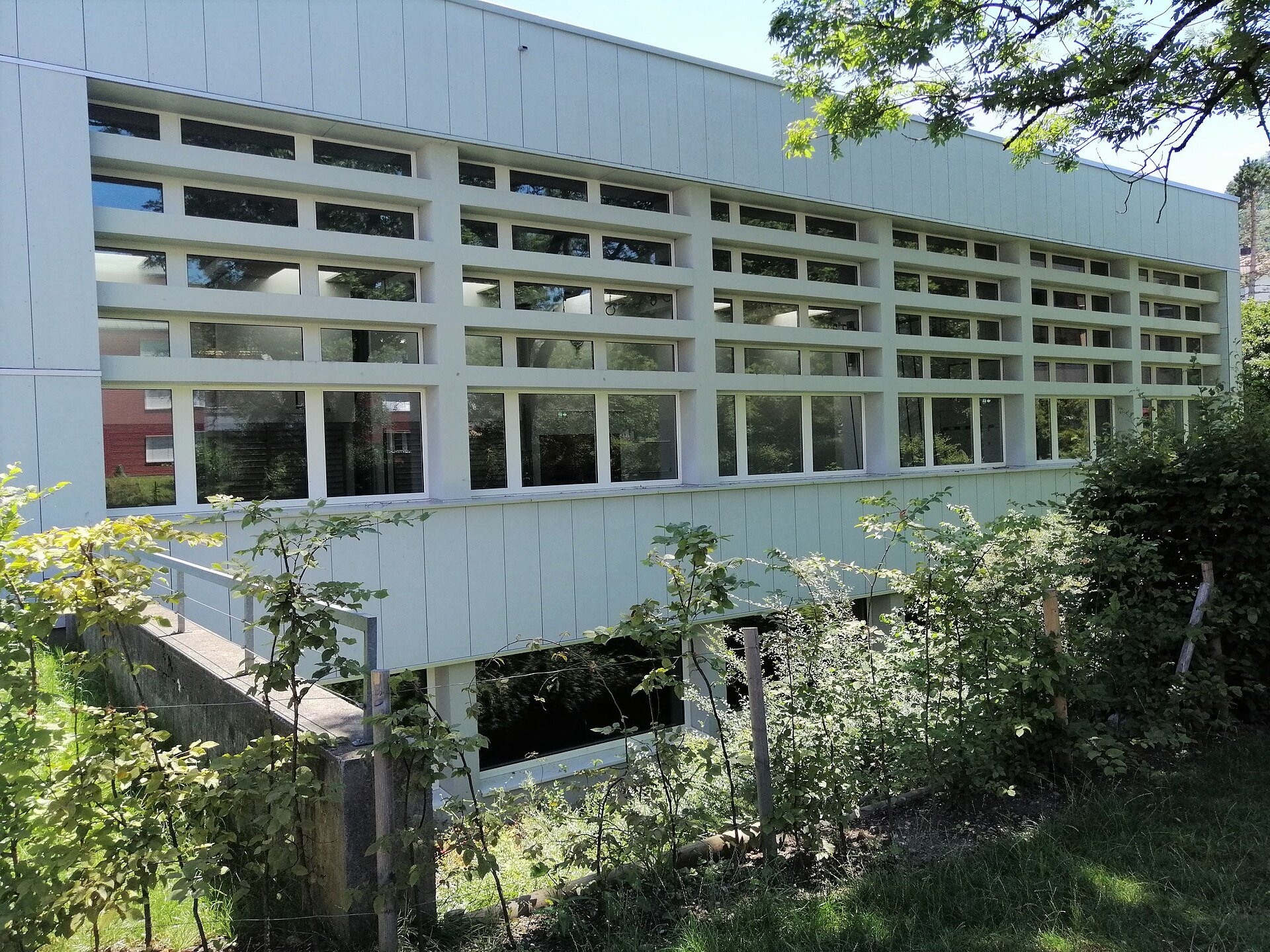 Altweg Kinder Schwimmkurse Schwimmschule Zürich