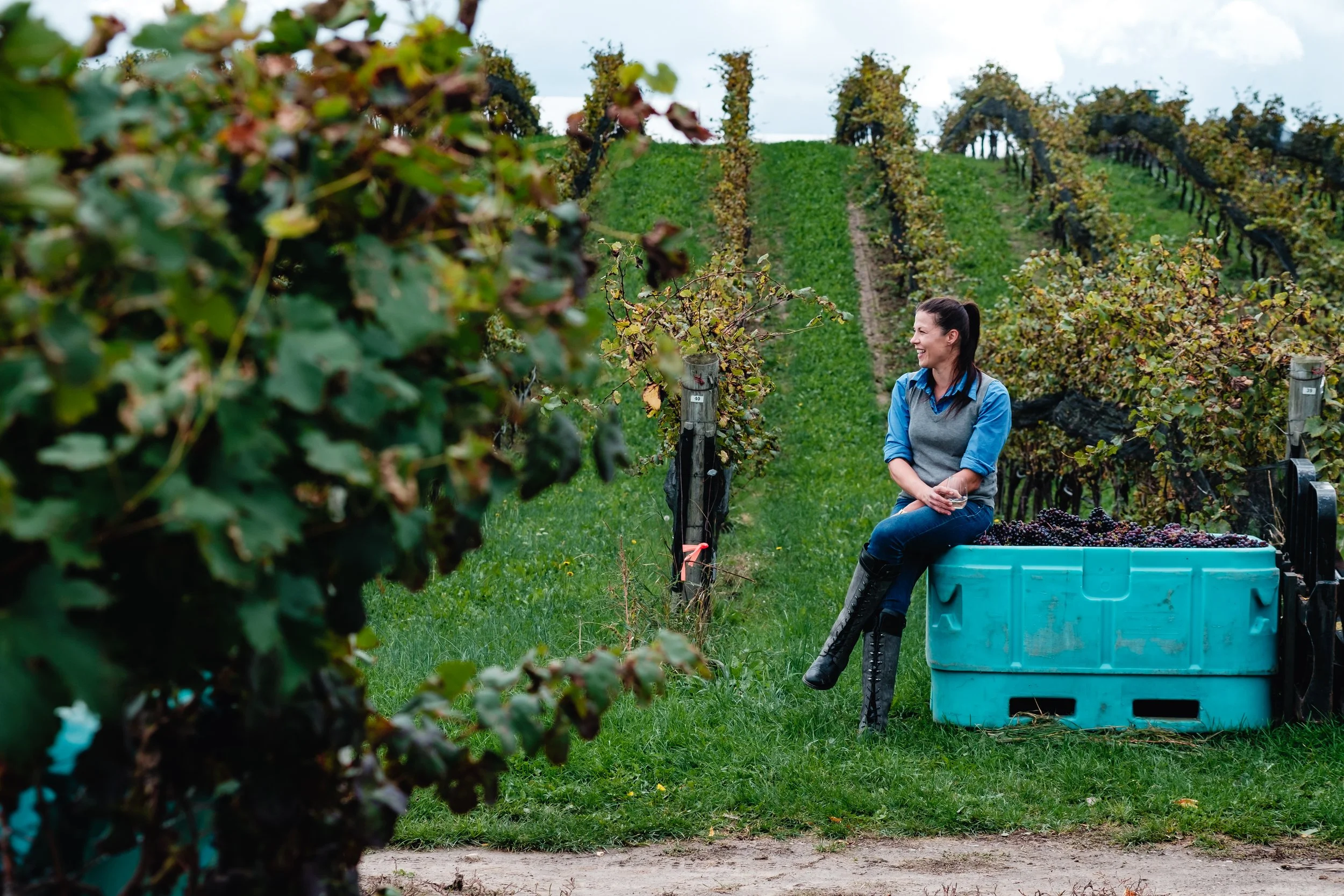 Jenn Hulley PhotographyRavine winery vineyard niagara1-5.jpg