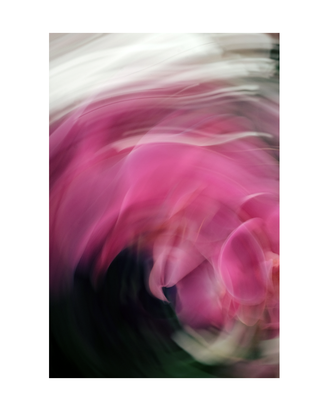 vibrant floral wall art1.png