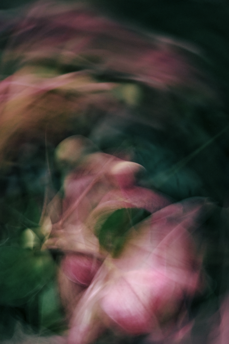 Atmospheric+statement+abstract+floral+wall+art+-+jenniferhulley-photography1.png