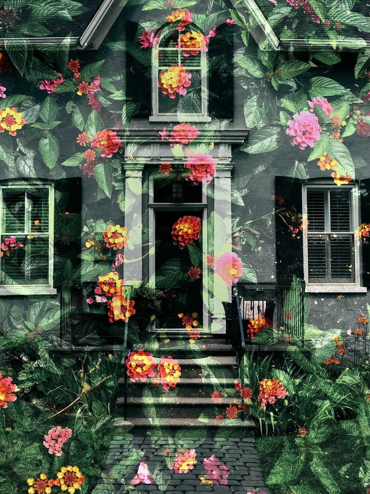 I dream of living in a historic home wrapped in flowing vines. For now I have my camera. 

Pic 1 - final image edited in capture one
Pic 2 - first layer 
Pic 3 - second layer 
Pic 4 - sooc multiple exposure 

#fujifilmx_ca #fujilovers #multipleexposu