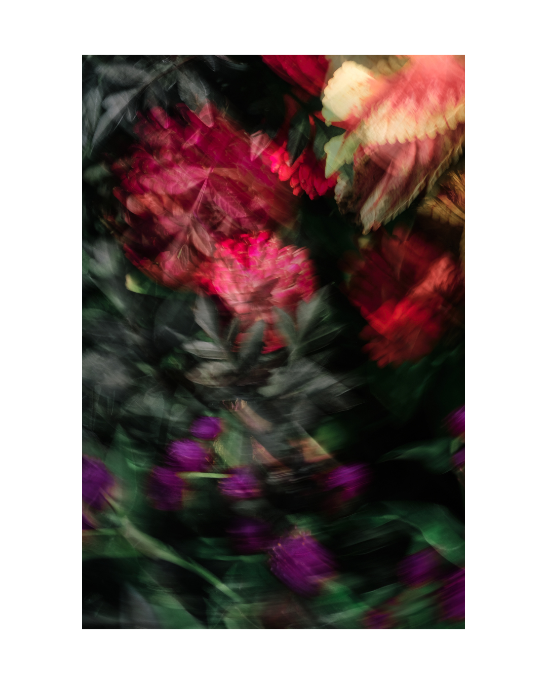jennifer-hulley-the-ripening-abstract-floral-photography-print