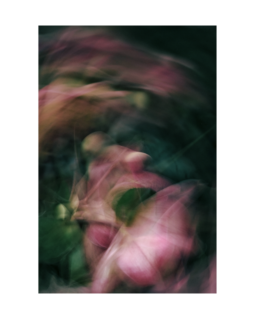 Atmospheric statement abstract floral wall art - jenniferhulley-photography1.png