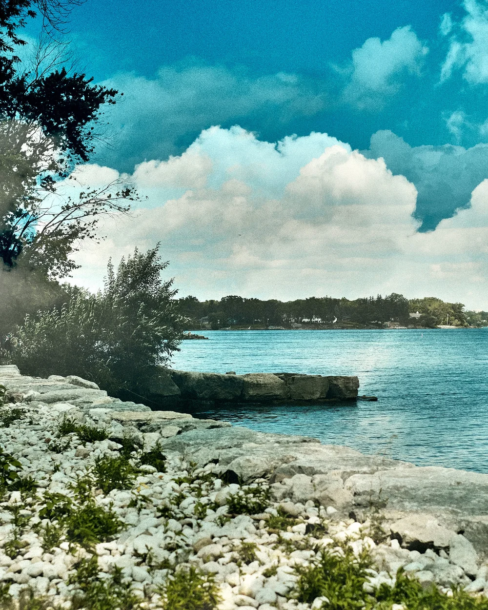 double exposure photograph of a lakeside with large clouds
