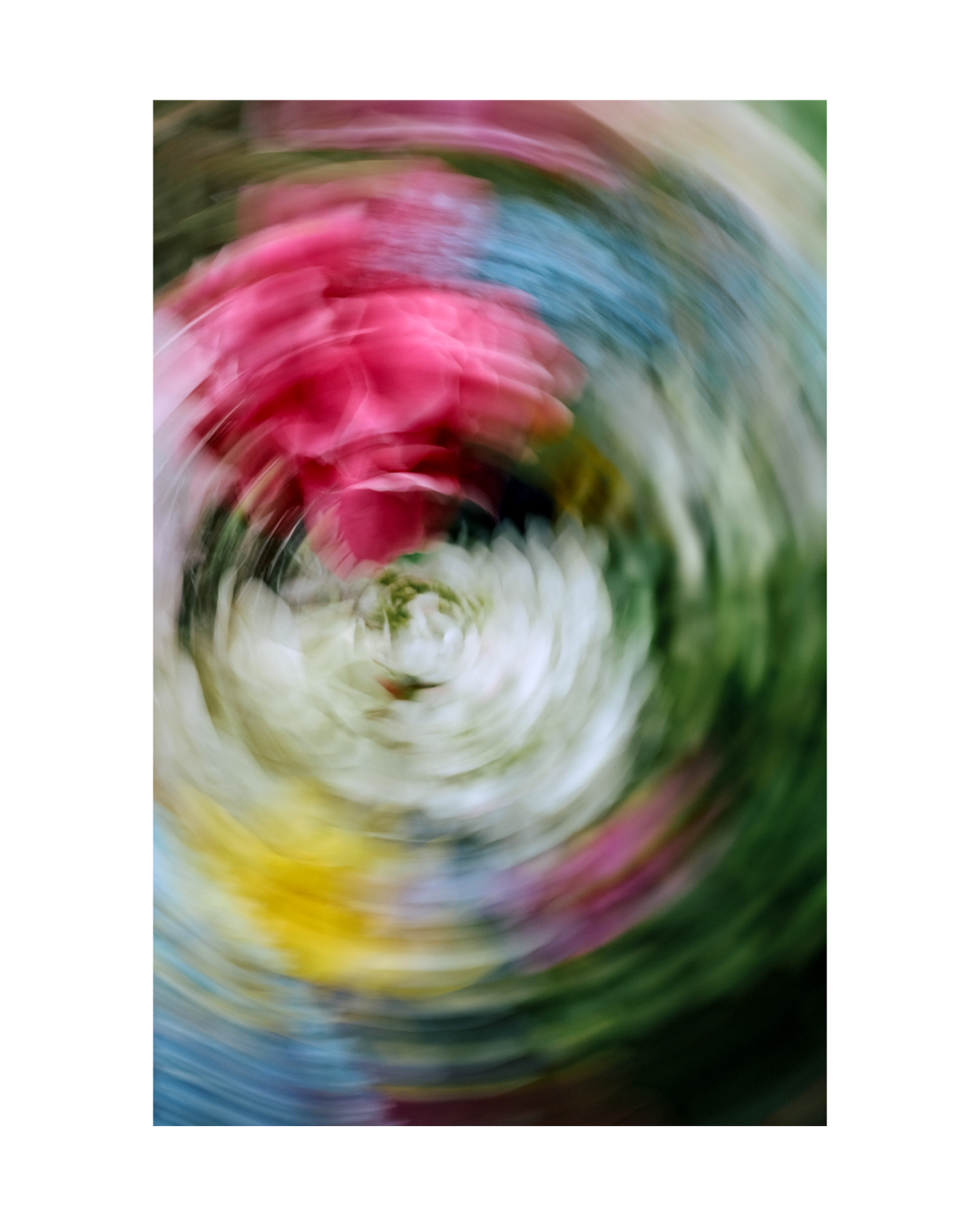 spring floral abstract floral wall art - jenniferhulley-photography1.png