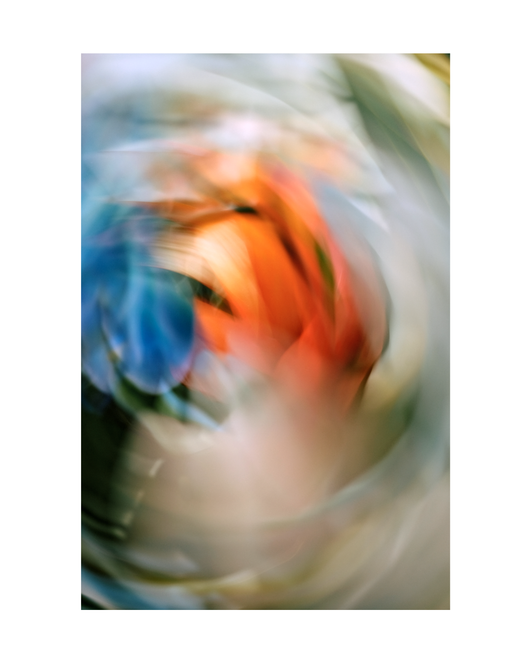 Bold statement abstract floral wall art - jenniferhulley-photography1.png