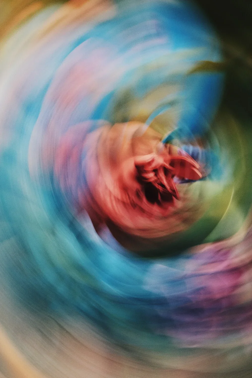 abstract image of a rose with rainbow colours swirling around it

