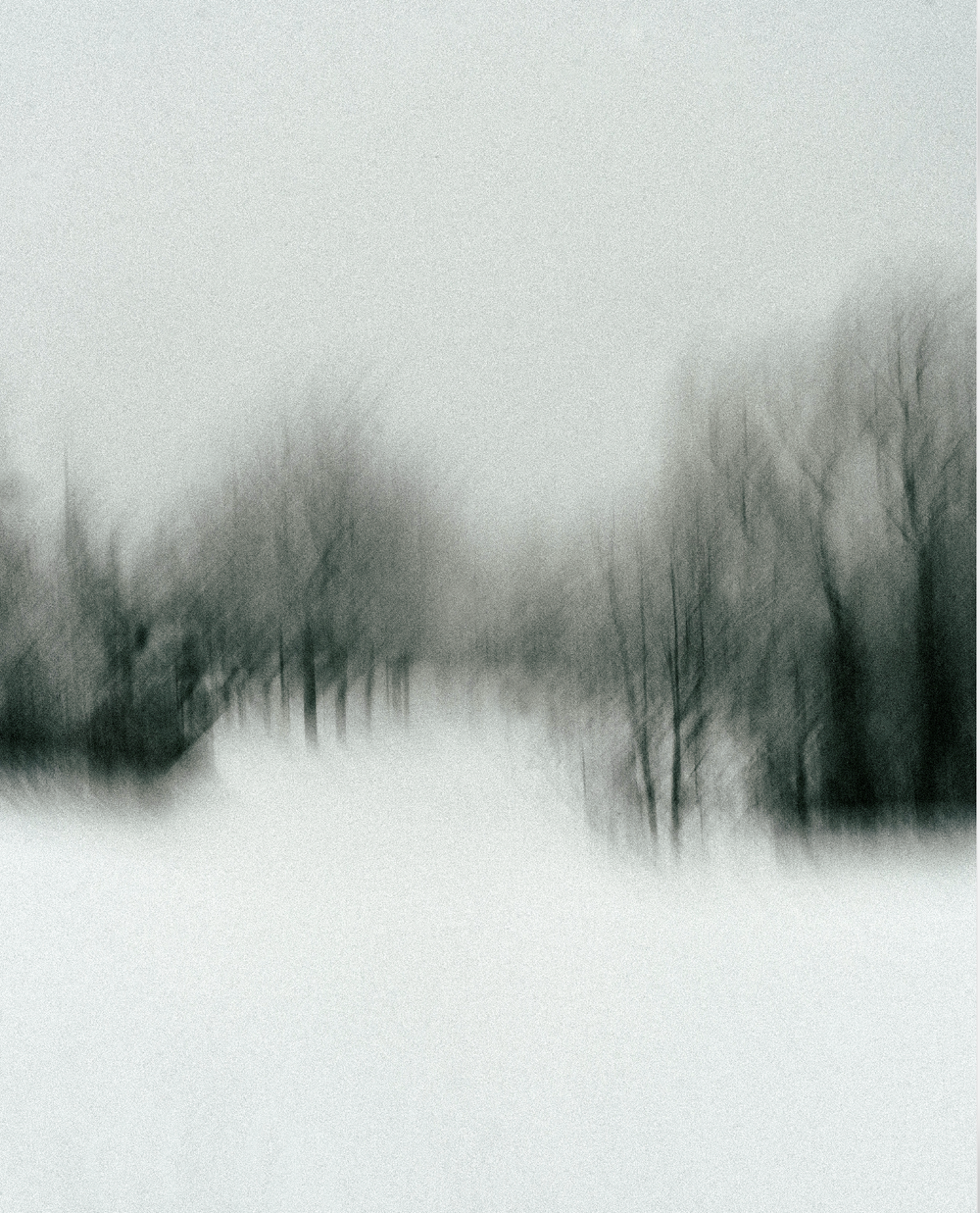 soft black and white photograph of a barren winter landscape