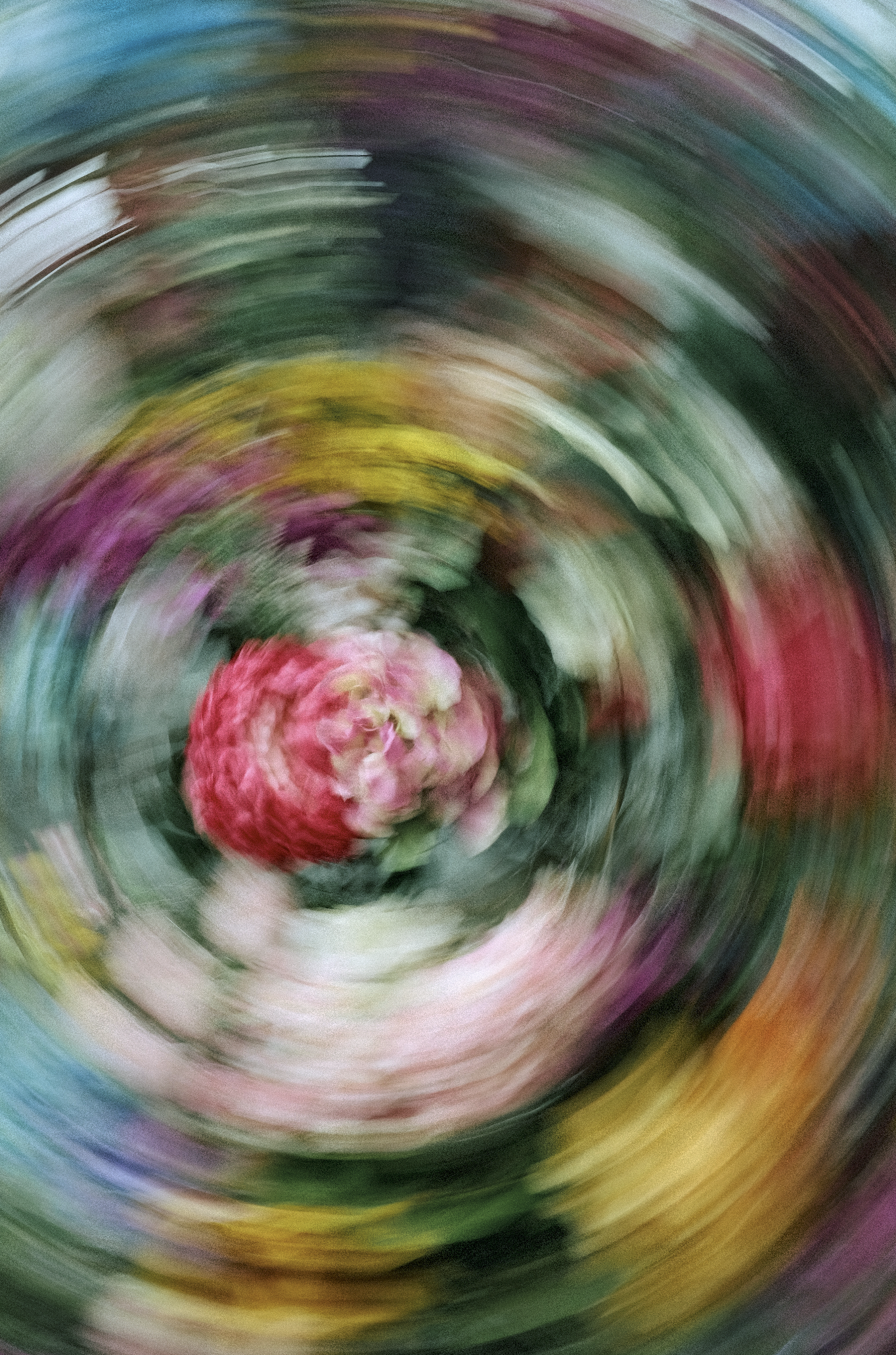 bold floral wall art_jenniferhulley_photography.png