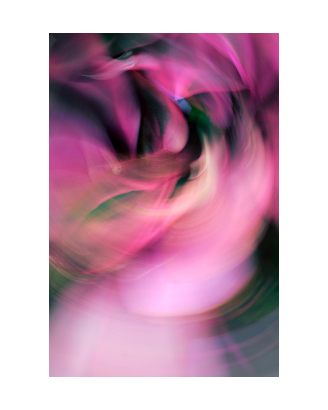 vibrant abstract floral wall art - jenniferhulley-photography 1.png