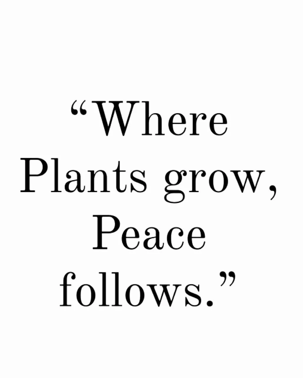 Purifying with Plants