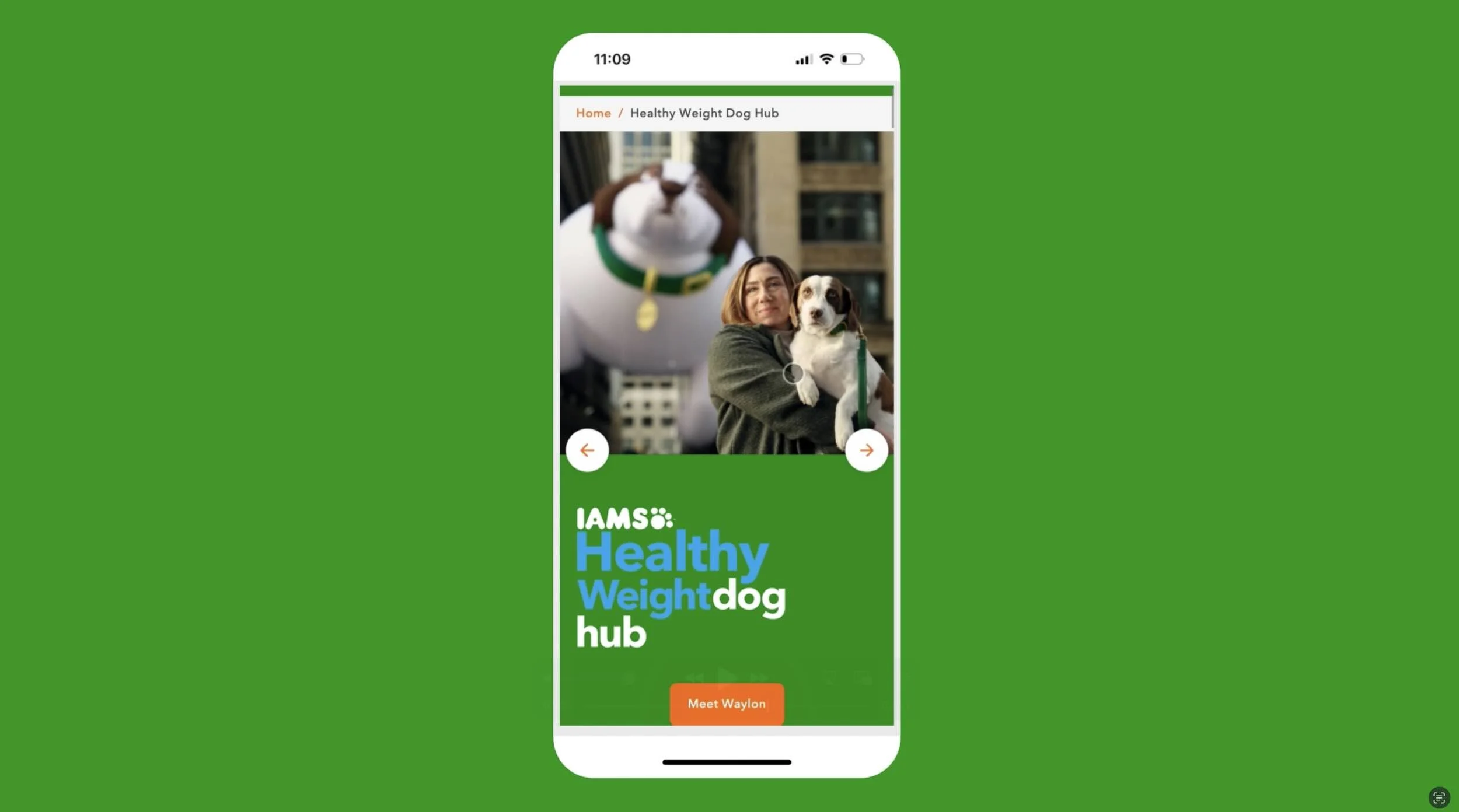 IAMS Petcare — Case Study Film