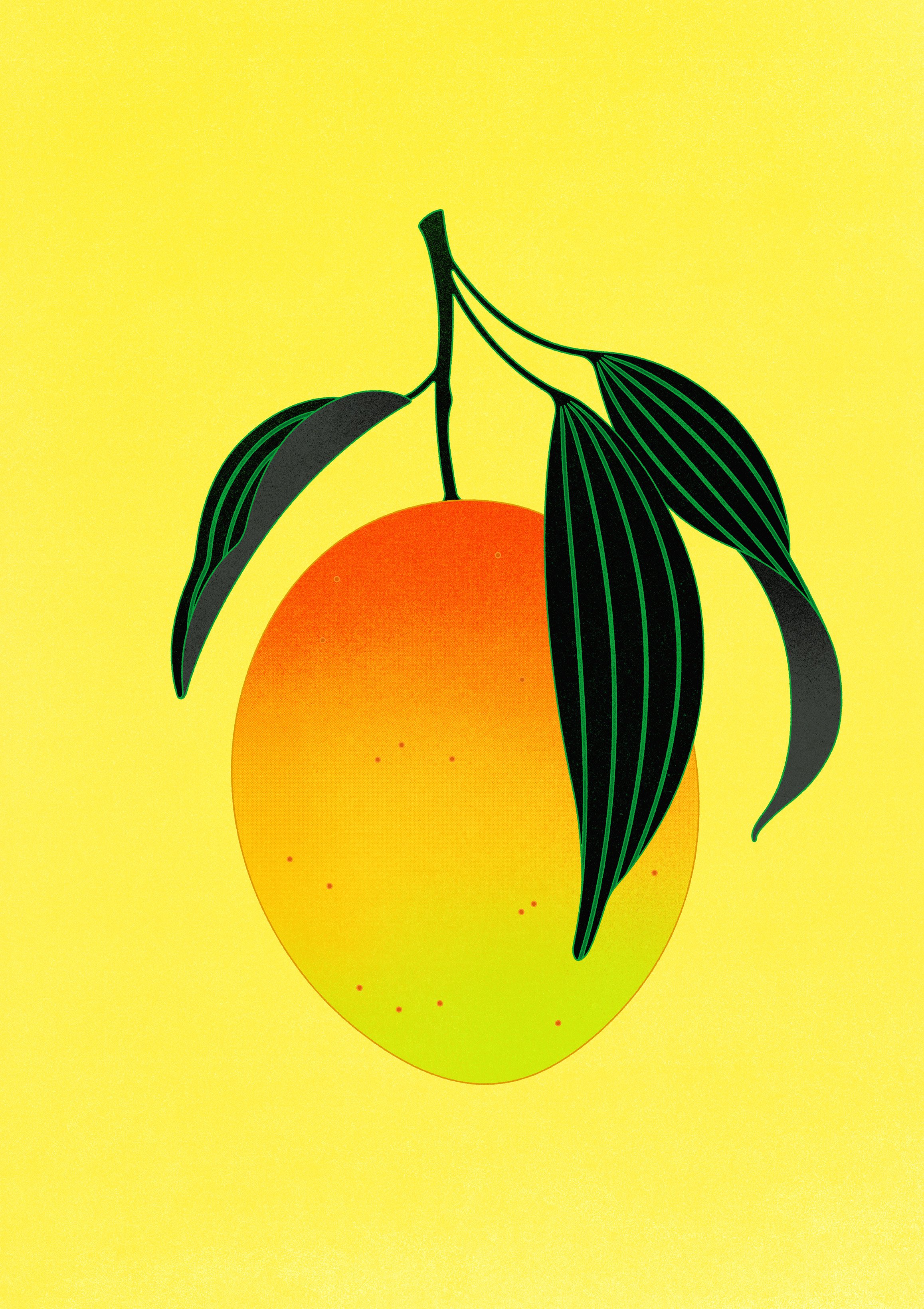 GoodMoodPrints_UploadFile_Large_Mango_FullBleed_P3.jpg