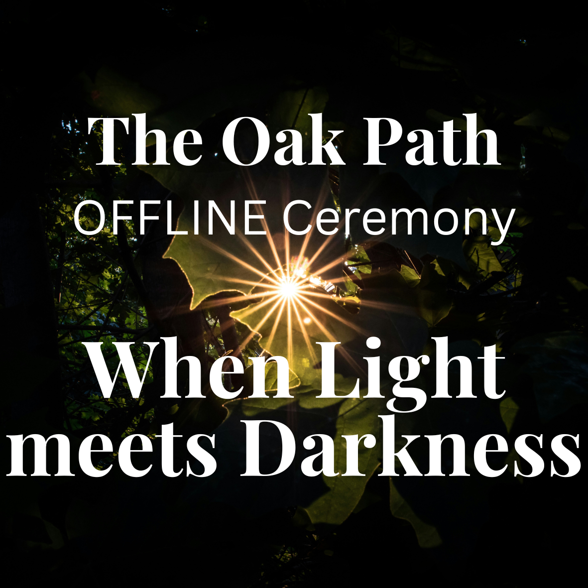 The Oak Path – OFFFLINE Ceremony - When Light Meets Darkness